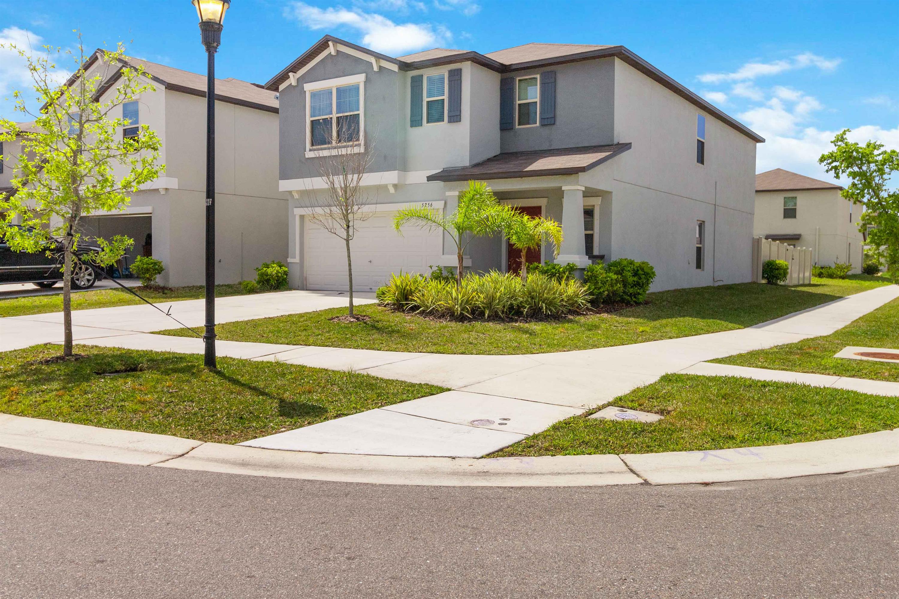 5256 White Chicory Drive